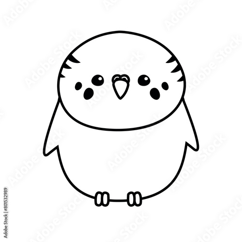 Vector flat hand drawn outline budgie parrot isolated on white background