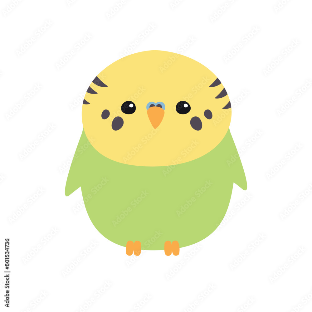 Vector flat hand drawn green budgie parrot isolated on white background