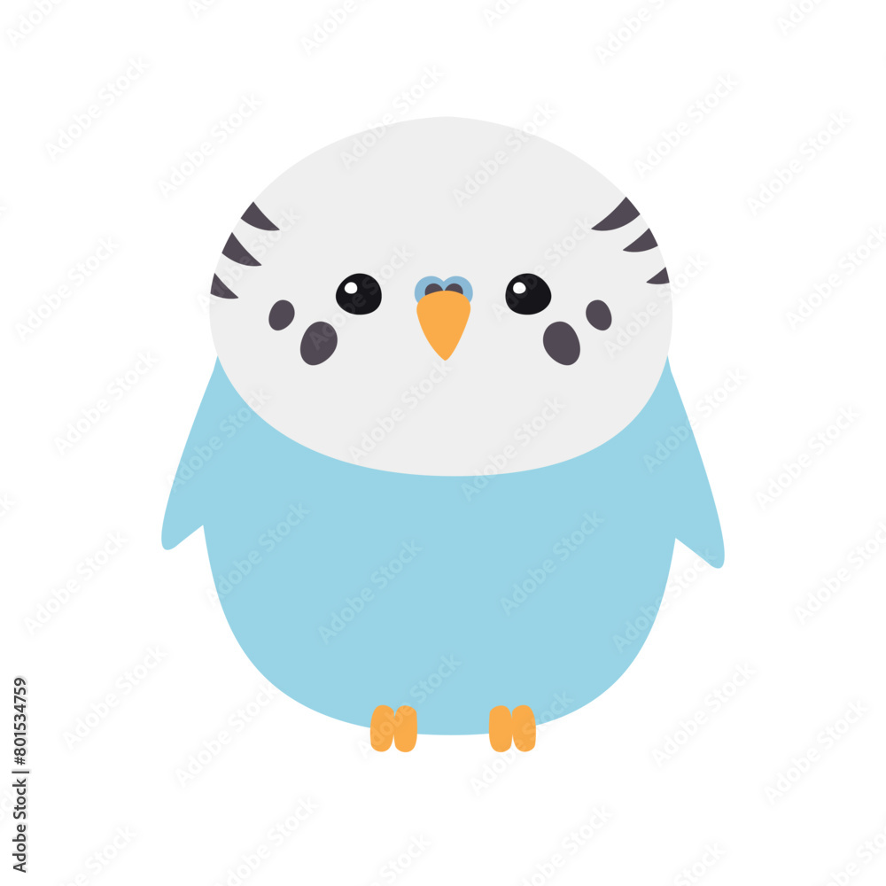 Vector flat hand drawn budgie parrot isolated on white background Vector flat hand drawn budgie parrot isolated on white background