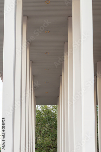 An open-air building overhang with a flat roof, and multiple rows of tall white square columns. The nontapered pedestal-style pillars support the roof. The background has lush green trees. photo