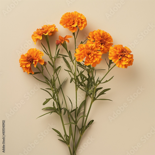 Vibrant Orange Marigold Flowers Arrangement on Earthy Background © Mathieu