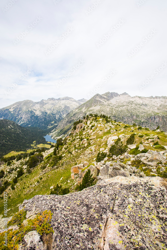 Summer landscape in Vall de Boi in Aiguestortes and Sant Maurici National Park, Spain