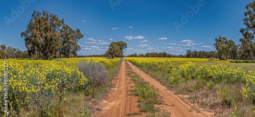 a wide shot of a field road going through a rape field with a big tree at the end. AI generated illustration