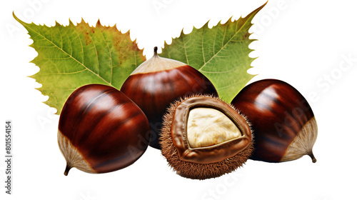 a group of chestnuts with leaves photo