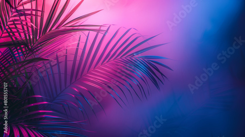 palm tree leaf against red and blue neon light background