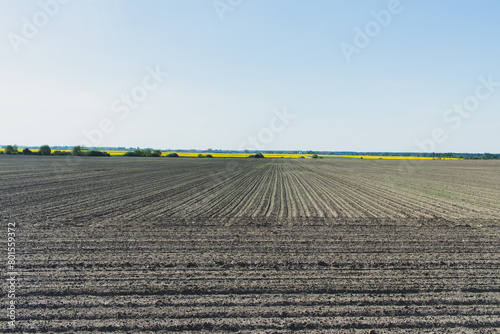 Plowed field in spring season. Beryoza, Brestskaya oblast, Republic of Belarus