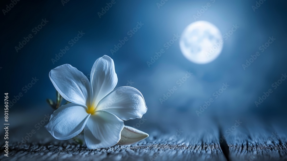   A white flower atop a wooden table Moon overhead, full and round in the night sky