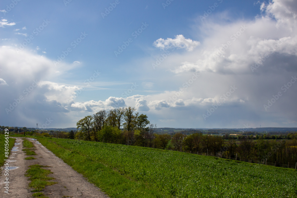 Landscape in summer with trees and meadows in bright sunshine Landscape in summer with trees and meadows in bright sunshine