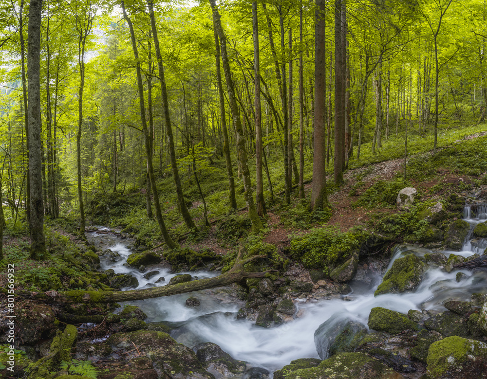 Rothbach Waterfall near Konigssee lake in Berchtesgaden National Park, Germany