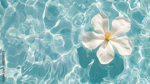  A white bloom hovers above a blue water body, its surface disturbed by gentle ripples beneath photo