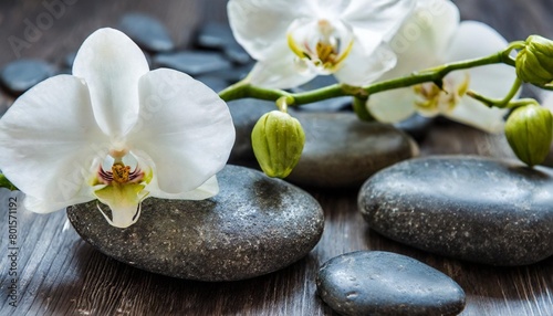 stones and a branch of white orchids