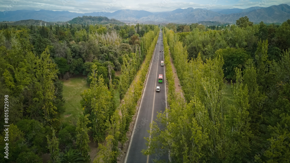 Straight road across Park San Martin, in Mendoza, Argentina. Aerial view.
