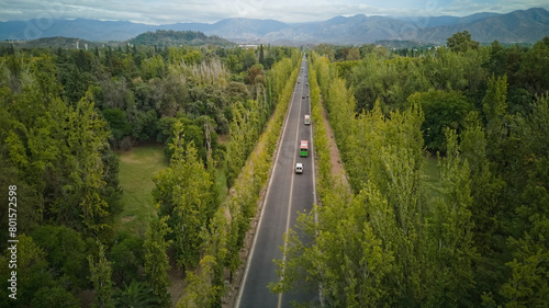 Straight road across Park San Martin  in Mendoza  Argentina. Aerial view.