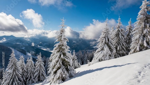 snowcovered trees on a mountain with clouds in the sky