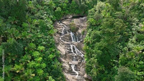 Aerial footage, backing out over the cascades of the Rio Cubuy, and a large natural pool at the top. The river cuts a slit through the sunlit rainforest of El Yunque in Puerto Rico.