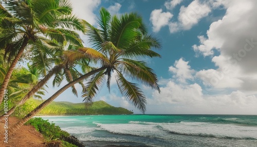 palm trees leaning over la perle beach in guadeloupe photo