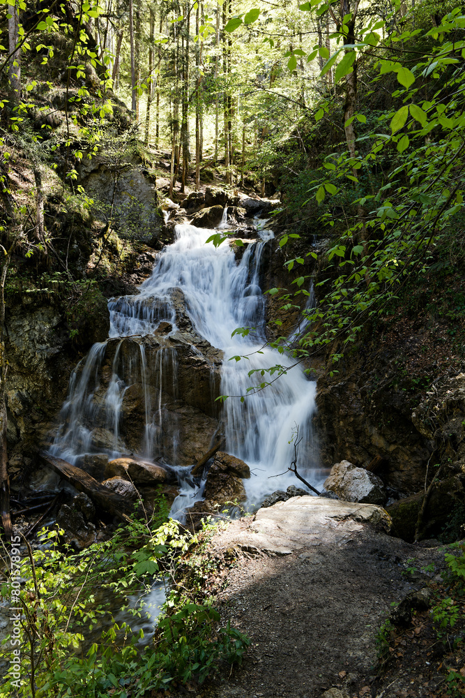 Obraz premium waterfall in the forest