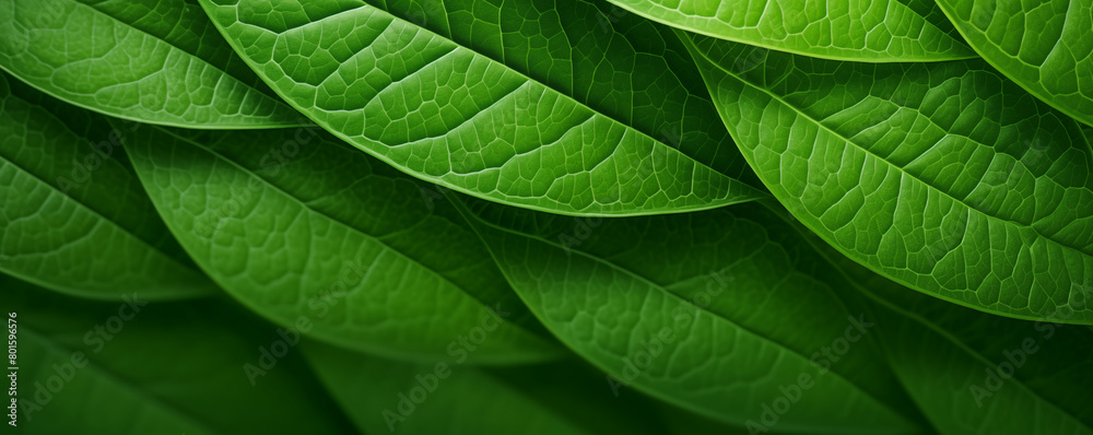 Close-up of green leaves texture, abstract nature background, generated ai Close-up of green leaves texture, abstract nature background, generated ai