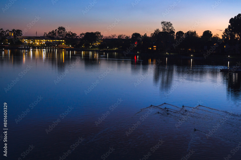 Twilight Serenity : right after sunset, the tranquil water of the lake reflect the glow of house lights dotting the shoreline.  A procession of ducks gracefully glides across the water's surface.