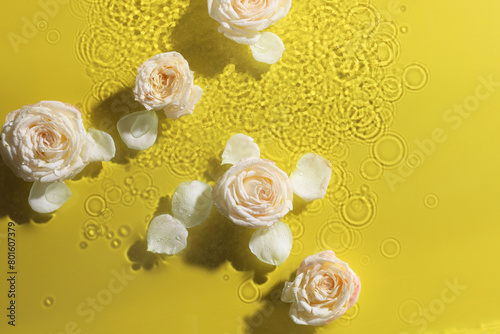 Beautiful roses in water on pale yellow background, top view. Space for text