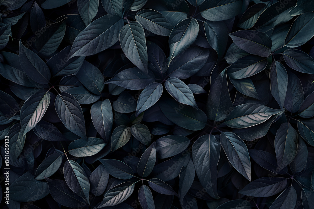 Dark natural foliage leave pattern or background Dark natural foliage leave pattern or background