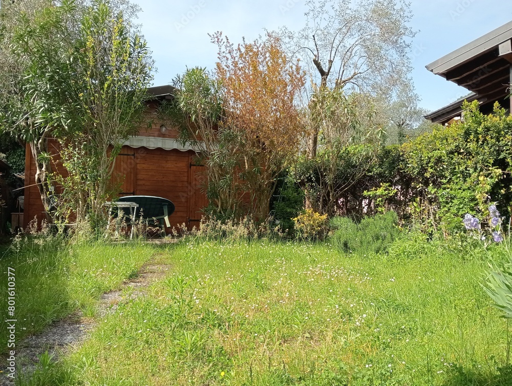 wooden house among nature with garden and trees on a sunny day.