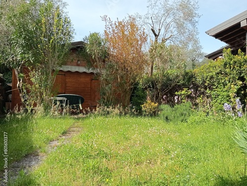 Obraz na płótnie wooden house among nature with garden and trees on a sunny day. w salonie