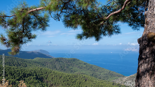 A view of the Mediterranean coastline through pine trees from the heights of the Rhodes Island mountains. 