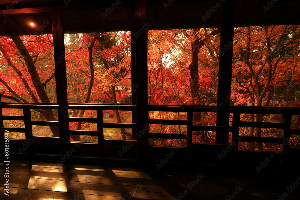 岩手県 紅葉の風景 岩手県 紅葉の風景