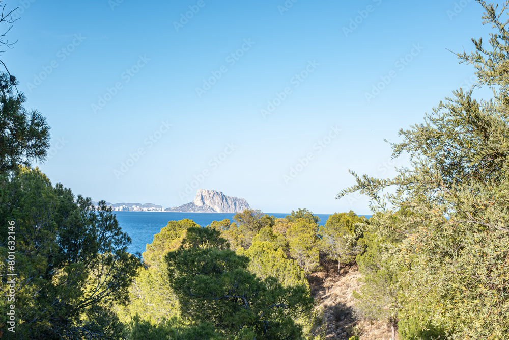 A glimpse of a rocky island through a screen of pine trees under the bright blue Mediterranean sky. A glimpse of a rocky island through a screen of pine trees under the bright blue Mediterranean sky.