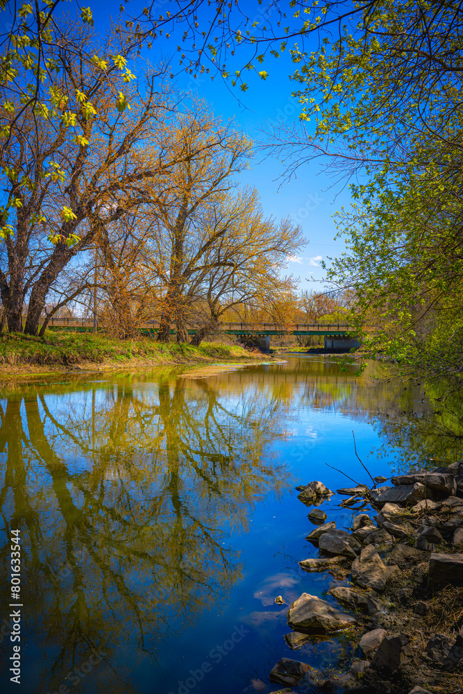 Fototapeta premium Spring season trees hanging over the Big Sioux River near Tuthill Park in Sioux Falls, Minnehaha County, South Dakota, the Upper Midwest of America