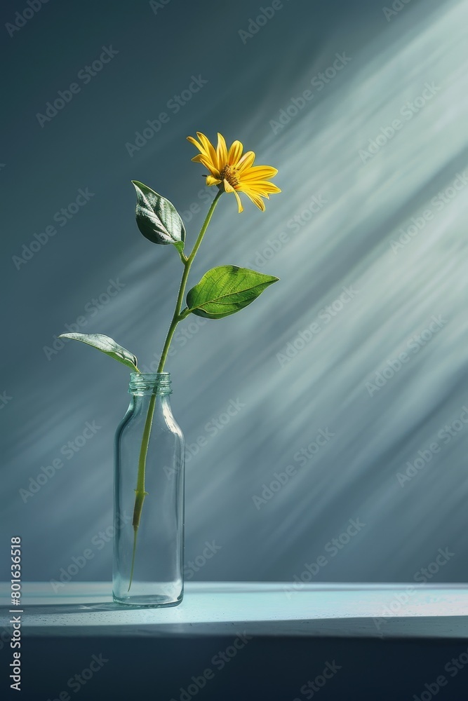 Vibrant yellow daisy flower in glass bottle Vibrant yellow daisy flower in glass bottle