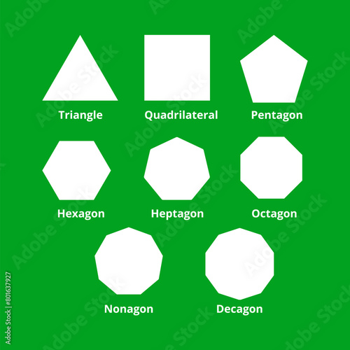 Polygon shapes types in math. Vector image.