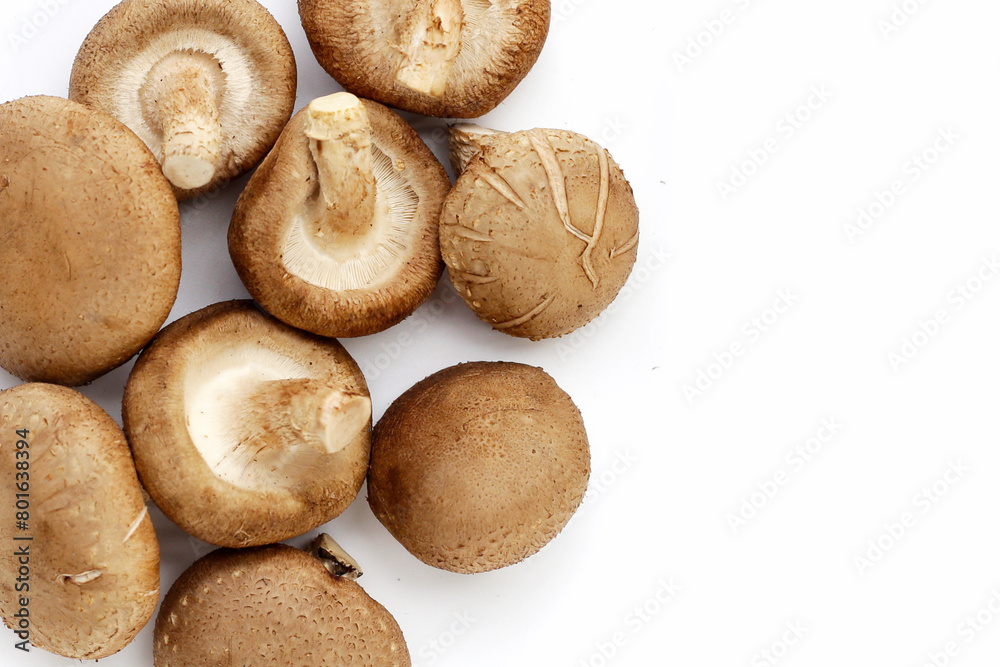 Fresh shiitake mushrooms on white background. Fresh shiitake mushrooms on white background.