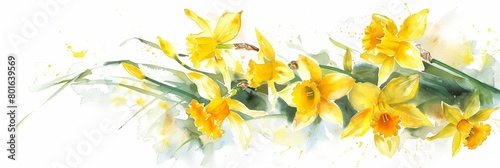 A watercolor painting of a field of daffodils. The daffodils are yellow and white, with green stems and leaves. The background is white. The painting is in a realistic style.