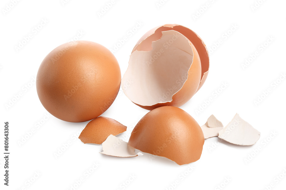 Chicken egg and pieces of shell isolated on white Chicken egg and pieces of shell isolated on white