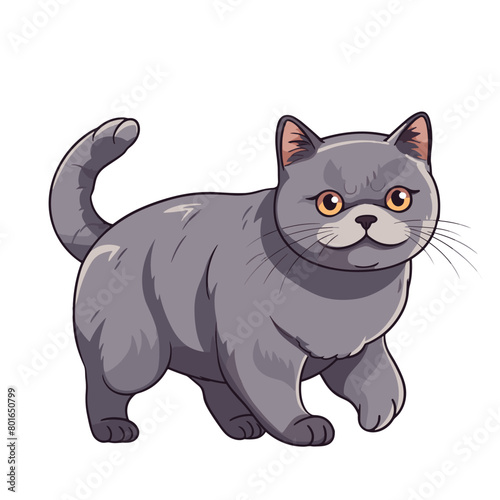 Cute gray cat isolated on white background. Vector cartoon illustration.