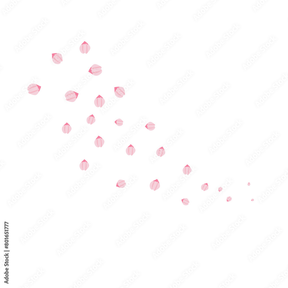 Sakura petals illustration 