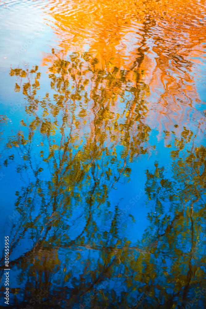 Fototapeta Water reflections of spring season trees hanging over the Big Sioux River near Tuthill Park in Sioux Falls, Minnehaha County, South Dakota