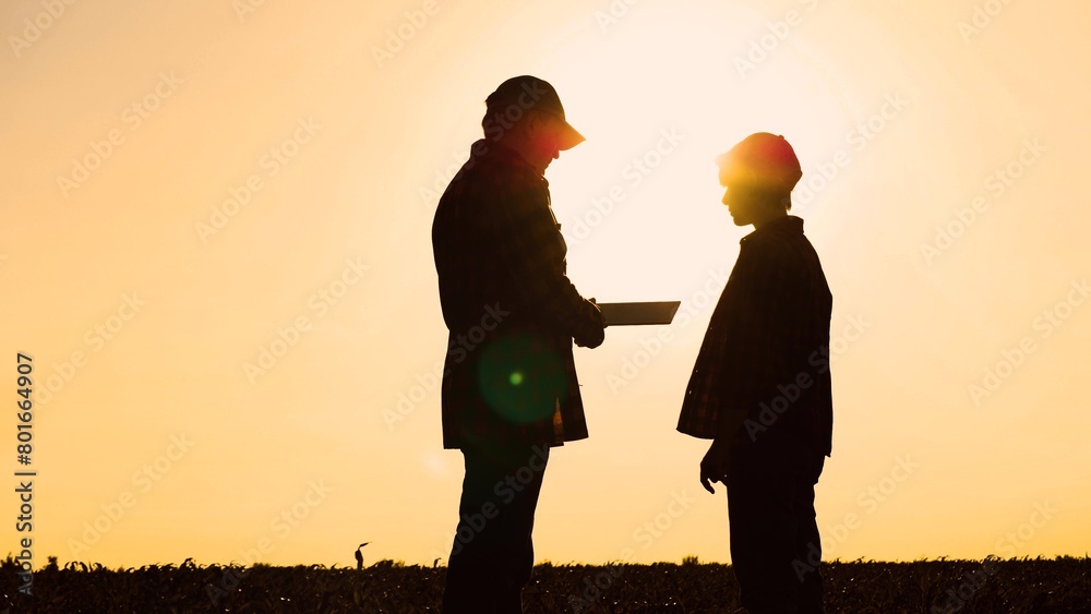 Silhouette man and woman farmer agronomist talking at sunset sunrise corn field. Agricultural work colleagues discuss harvest cultivation research analyzing use tablet pc countryside agribusiness