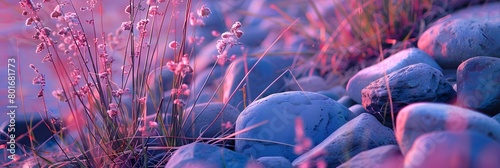 Stones and flowers in pink light