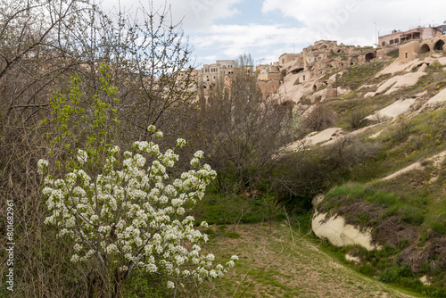 Goreme's Open-Air Museum in Cappadocia, Turkey, Shines on a Gorgeous Summer Day, Amidst the Remarkable Rock Formations. Early spring (ID: 801682961)