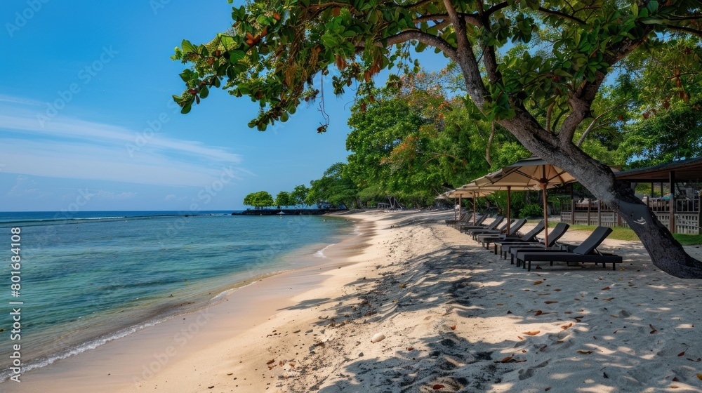 Tranquil beach scene with pine tree branches framing a view of calm blue waters Tranquil beach scene with pine tree branches framing a view of calm blue waters