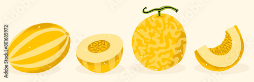 Yellow Korean melon whole fruit, slice and half isolated on white background. Cucumis melo, oriental melon, muskmelon or chamoe icon. Vector illustration of tropical exotic fruits in flat style.