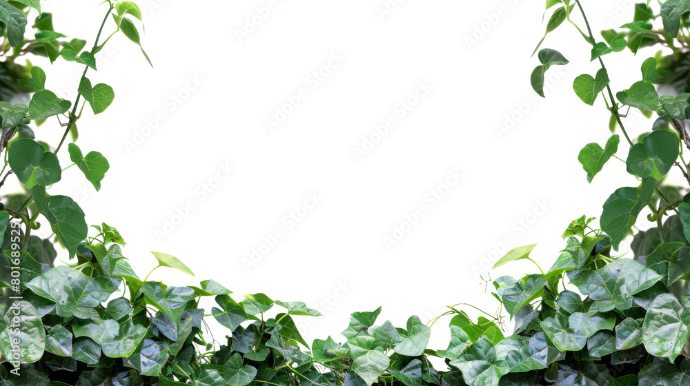 Fototapeta premium Jungle bush