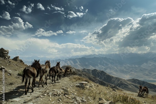 A herd of horses are walking down a rocky mountain path
