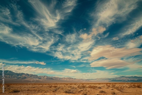 A large, open field with a clear blue sky and fluffy clouds