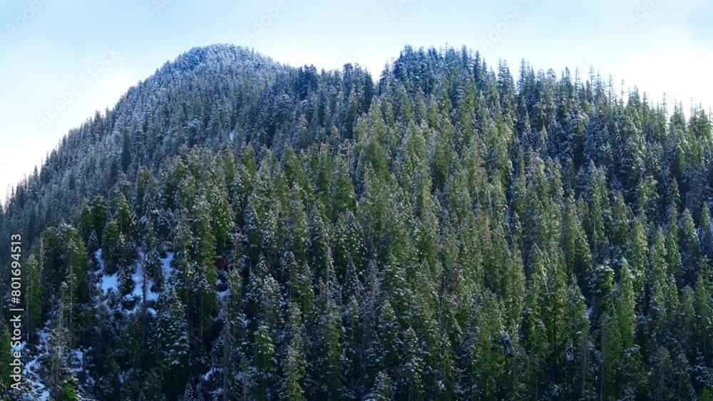 A sweeping aerial view of a snow-capped evergreen forest blanketing a steep mountain slope in Washington. 4K footage. A sweeping aerial view of a snow-capped evergreen forest blanketing a steep mountain slope in Washington. 4K footage.
