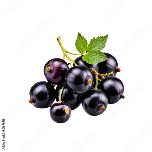 Blackcurrant black currant cassis isolated on transparent background
