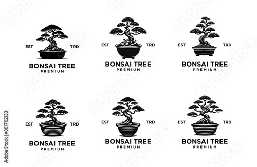 Bonsai logo icon design vector illustration